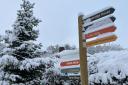 Step into a winter wonderland at Tewinbury Farm's enchanting Farmer Christmas Light Trail