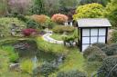 Features of Kingston Lacy's Japanese tea garden includes 