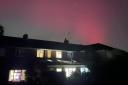 Northern Lights captured by Angela Scott above her house in Kings Langley