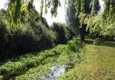 The plans cover the management of Singlers Marsh for the next 10 years.