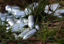 File photo of discarded canisters of nitrous oxide, or laughing gas. The Home Office said having nitrous oxide will be banned from November 8 and serious repeat offenders could be jailed for up to two years, with dealers facing up to 14 years in prison.