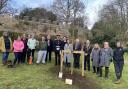 King’s tree planted in the grounds of Hertford Castle to mark Coronation.