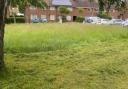 Lockley Crescent was one street that saw grass growing to higher levels than normal.