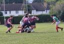 Welwyn were second best to Hertfordshire rivals Chehsunt at Hobbs Way. Picture: WELWYN RFC