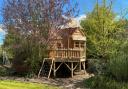 The tree house has been built at a home in Elm Lane.