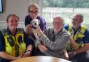 RAPPAW dog Doris at Cuffley day care centre