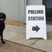 Hertfordshires fire dog Req taking his pawsome snap outside his polling station in 2017. Picture: Herts Fire.