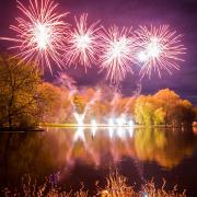 St Albans fireworks at Verulamium Park. Picture: Pink Soul.