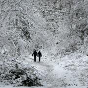 Winter Walk in Sherrardswood by John Reddington