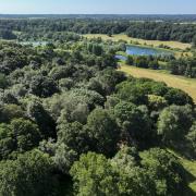 Panshanger Park is inviting nature lovers to learn about the park's wildlife