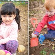 Potato Shindig returns to Willows Activity Farm