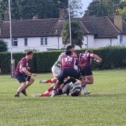 Welwyn were second best to Hertfordshire rivals Chehsunt at Hobbs Way. Picture: WELWYN RFC