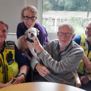 RAPPAW dog Doris at Cuffley day care centre