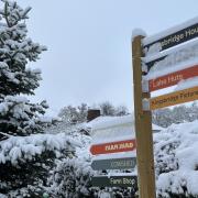 Step into a winter wonderland at Tewinbury Farm's enchanting Farmer Christmas Light Trail