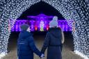 Wimpole's Christmas Light Trail