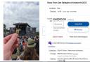 A piece of grass from Liam Gallagher at Knebworth Park is for sale on eBay - with bids having now topped £65,000.