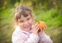 The Pumpkin Festival returns to Willows Activity Farm this month