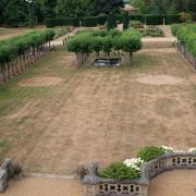 The grass dried out on the Sunken Lawn at Knebworth House.