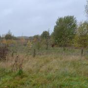 The proposed quarry site on Ellenbrook Fields, Hatfield