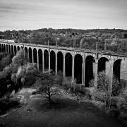 Digswell Viaduct by Dariush Madani