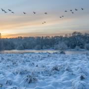 Passing through Panshanger by Iain Houston