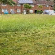 Grass in Lockley Crescent was left uncut.