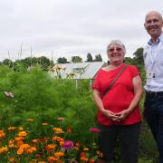 Deputy Mayor Mick Wise gave out the award for Best Plot to Gillian Jones