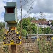 Insects have a new home at Hadley Wood train station