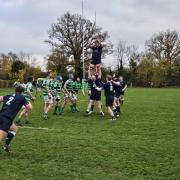 Welwyn claim a line-out on their way to victory over Datchworth.