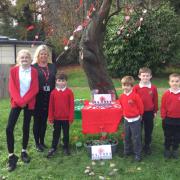 The school created an outdoor display with art created by the children