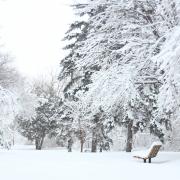 Hertfordshire residents woke up to snow fall this morning.