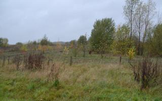 The proposed quarry site on Ellenbrook Fields, Hatfield