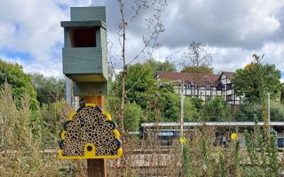 Insects have a new home at Hadley Wood train station