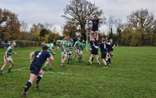 Welwyn claim a line-out on their way to victory over Datchworth.